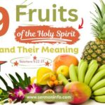 9 Fruits of the Holy Spirit and Their Meaning